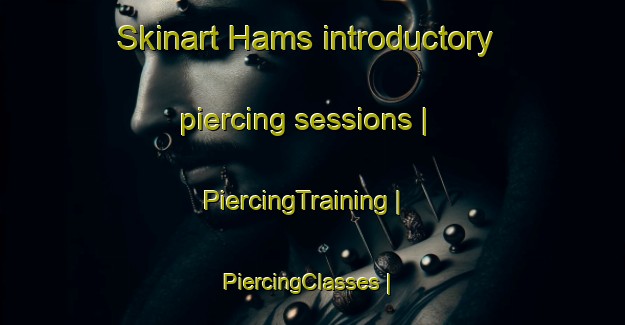 Skinart Hams introductory piercing sessions | PiercingTraining | PiercingClasses | SkinartTraining-United States